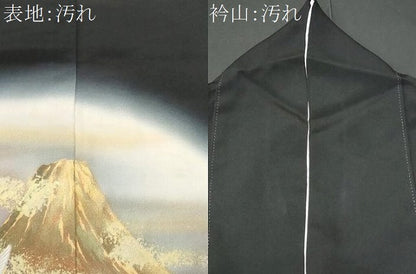 平和屋着物■豪華黒留袖　作家物　飛鶴文　暈し染め　金彩　正絹　逸品　CABD1970fb