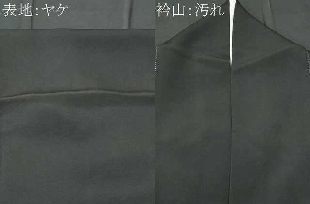 平和屋着物■豪華黒留袖　作家物　駒刺繍　京名所飛鶴風景文　暈し染め　金彩　正絹　逸品　CABD1983fb