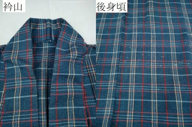 平和屋着物∴夏物 阿波しじら織 浴衣 格子柄 綿 逸品 CABD2464ng