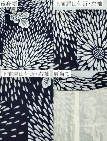 平和屋着物∴夏物 浴衣 菊文 綿 逸品 CABD2483ng
