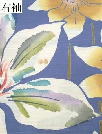平和屋着物∴夏物 浴衣 舞花尽くし 綿 逸品 CABD2487ng