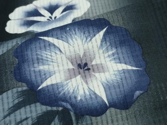 平和屋着物∴夏物 浴衣 綿紅梅 朝顔 舞花間道 黒地 綿 逸品 CABD2533ng