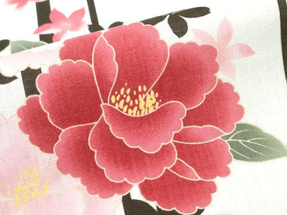 平和屋着物∴夏物 浴衣 牡丹 間道 綿 逸品 CABD2582ng