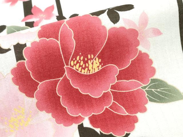 平和屋着物∴夏物 浴衣 牡丹 間道 綿 逸品 CABD2582ng
