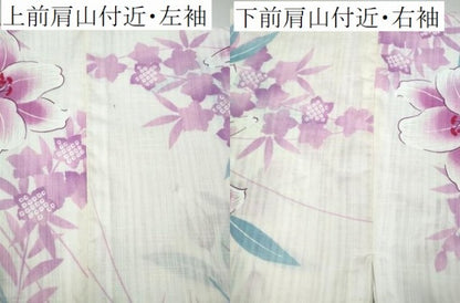 平和屋着物∴夏物 浴衣 百合 草花文 綿 逸品 CABD2603ng