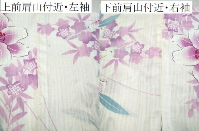 平和屋着物∴夏物 浴衣 百合 草花文 綿 逸品 CABD2603ng