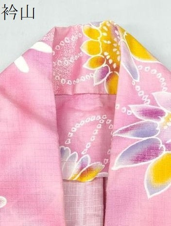 平和屋着物∴夏物 浴衣 トンボ 蜻蛉 舞菊文 綿 逸品 CABD2677ng