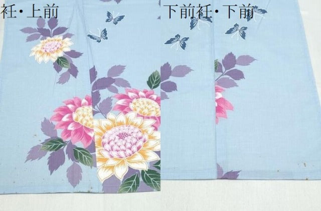 平和屋着物∴夏物 浴衣 舞蝶菊文 綿 逸品 CABD2746ng