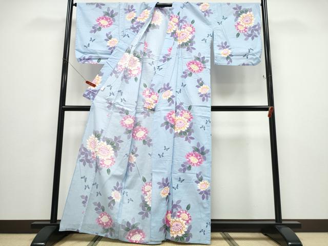 平和屋着物∴夏物 浴衣 舞蝶菊文 綿 逸品 CABD2746ng