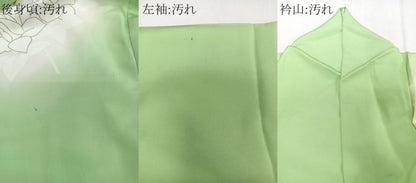 平和屋着物■訪問着　駒刺繍　枝花文　暈し染め　金彩　松坂屋扱い　正絹　逸品　CABD2938xi