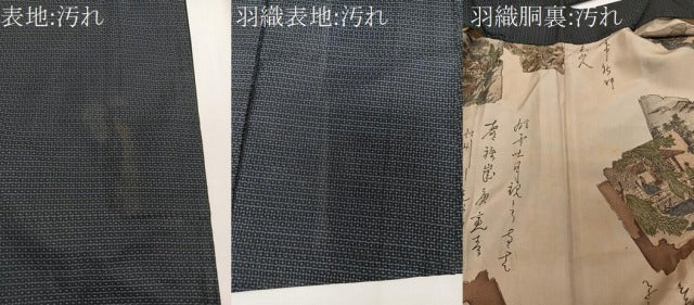 平和屋着物■男性 本場大島紬 アンサンブル 亀甲文 総詰め 正絹 逸品 CABD3076xi