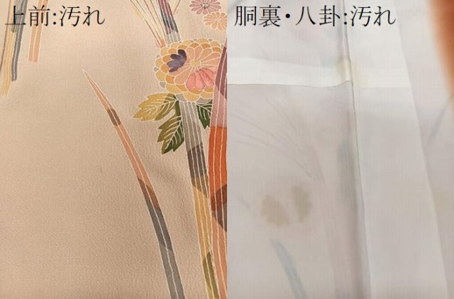 平和屋着物■訪問着 刺繍 草花文 正絹 逸品 CABD3157xi