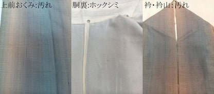 平和屋着物■上質な紬 間道 暈し染め 正絹 逸品 CABD3189xi