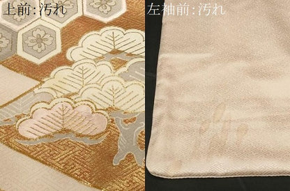 平和屋着物■豪華色留袖 駒刺繍 吉祥枝花文 金彩 正絹 逸品 CABD3244ev