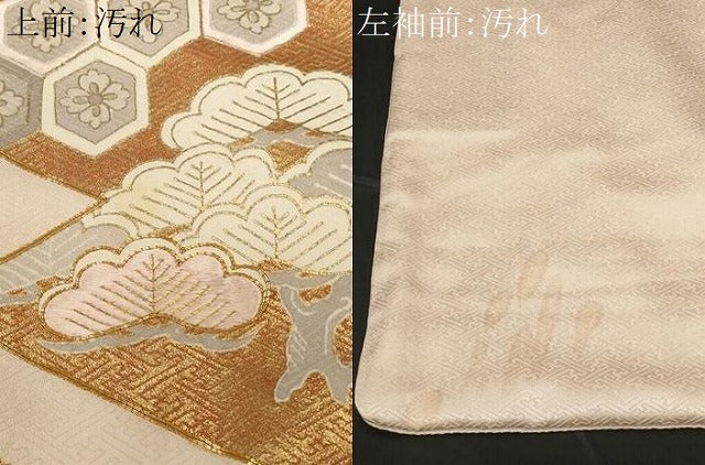 平和屋着物■豪華色留袖 駒刺繍 吉祥枝花文 金彩 正絹 逸品 CABD3244ev