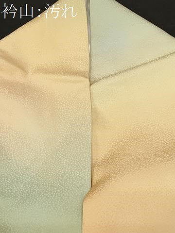 平和屋着物■訪問着　草花文　暈し染め　正絹　逸品　CABD3358ev