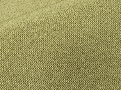 平和屋着物■上質な色無地　抹茶色　正絹　逸品　CABD3369ev