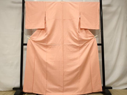 平和屋着物■上質な色無地　鮫小紋地紋　虹色　正絹　逸品　CABD3412ev