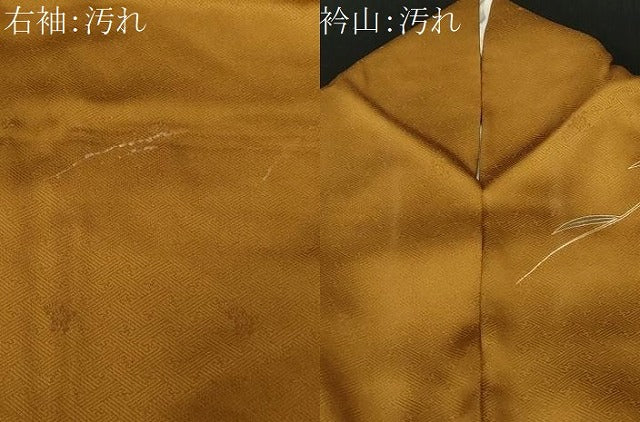 平和屋着物■訪問着　籬花蝶丸文　暈し染め　金彩　正絹　逸品　CABD3678ev