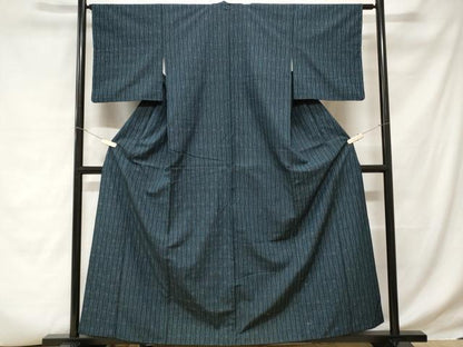 平和屋着物■上質な紬 立涌絵絣文 正絹 逸品 CABD3741ev