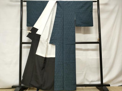 平和屋着物■上質な紬 立涌絵絣文 正絹 逸品 CABD3741ev