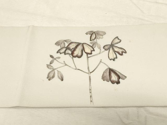 平和屋着物●九寸名古屋帯　手描き　更紗草木文　正絹　逸品　CABD4182dy