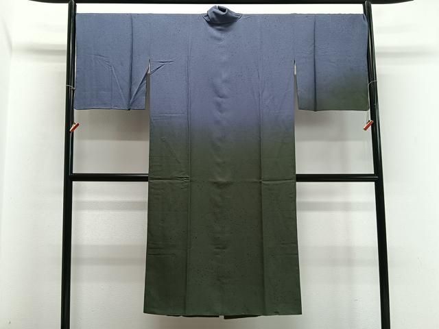 平和屋着物∞道中着　霞文　暈し染め　ロング丈　正絹　逸品　CABD4503ua