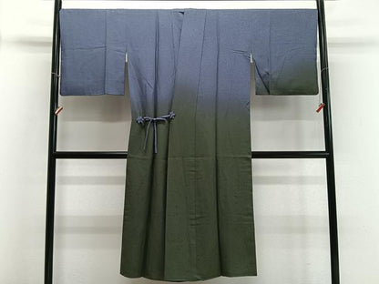平和屋着物∞道中着　霞文　暈し染め　ロング丈　正絹　逸品　CABD4503ua