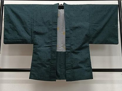 平和屋着物∞男性　羽織　髭紬　亀甲繋ぎ　正絹　逸品　CABD4530ua