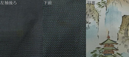 平和屋着物∞男性　羽織　本場大島紬　100亀甲　総詰め　正絹　逸品　CABD4658ua