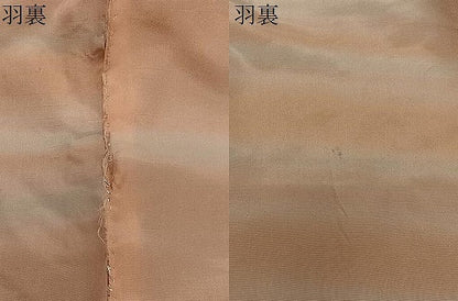 平和屋着物∞道中着　草花間道　ロング丈　正絹　逸品　CABD4702ua