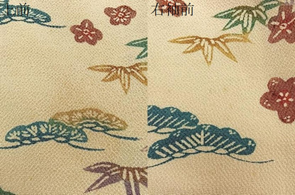 平和屋着物∞羽織　草花文　鬼しぼ縮緬　正絹　逸品　CABD4783ua