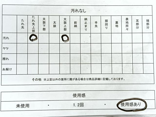 平和屋着物◎太鼓柄袋帯　手描き　草花文　金彩　正絹　逸品　CABD5174nb