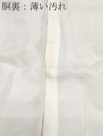 平和屋着物■上質な色無地 雲重ね地紋 珊瑚色 正絹 逸品 CABD5400th