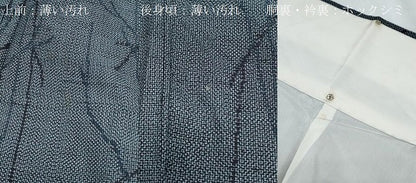 平和屋着物■上質な紬　吉祥文　正絹　逸品　CABD5435th