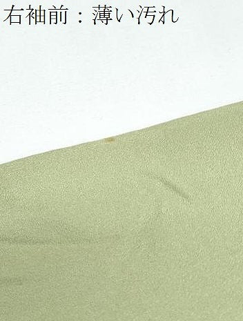 平和屋着物■訪問着 露芝舞蝶文 暈し染め 金銀彩 正絹 逸品 CABD5451th