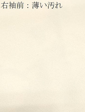 平和屋着物■訪問着 鏡裏花蝶文 金彩 正絹 逸品 CABD5454th