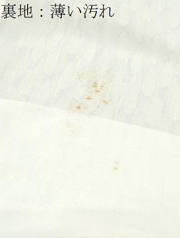 平和屋着物■上質な小紋 遠山文 正絹 逸品 CABD5537th
