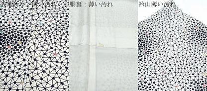 平和屋着物■上質な小紋　吉祥文　正絹　逸品　CABD5569th