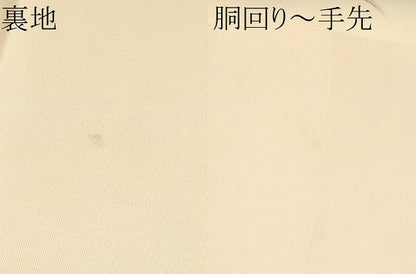 平和屋着物●塩瀬　九寸名古屋帯　手描き　草花文　金彩　正絹　逸品　CABD5731hy