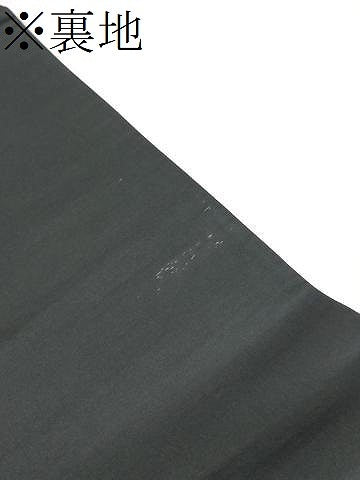 平和屋着物●六通柄袋帯　龍　花鳥丸文　金糸　正絹　逸品　CABD5808hy