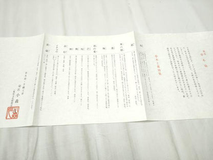 平和屋着物●本場筑前博多織 草木染 手織工房 染匠：小森久 両面 全通柄袋帯 よろけ縞 金糸 たとう紙・証紙・共箱付 正絹 逸品CABD5925hy