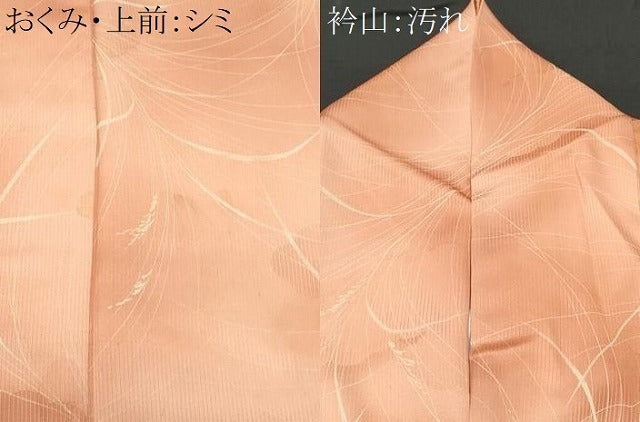 平和屋着物■上質な小紋　雲取り芒文　暈し染め　正絹　逸品　CABD6126fb