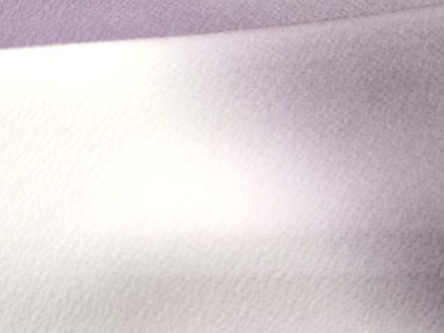 平和屋着物■豪華色留袖　霞文　暈し染め　鬼しぼ縮緬　正絹　逸品　CABD6135fb
