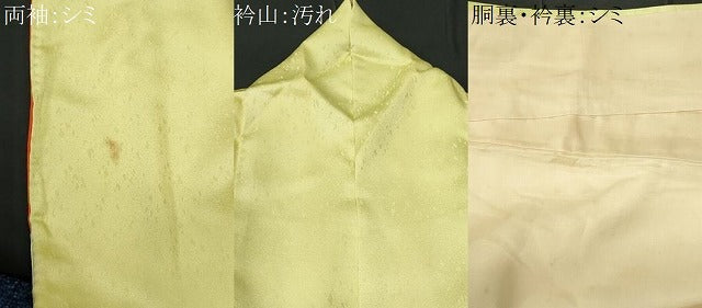平和屋着物■訪問着 枝牡丹 暈し染め 正絹 逸品 CABD6295fb