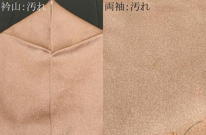 平和屋着物■訪問着 刺繍 籬草花文 金糸 正絹 逸品 CABD6394fb