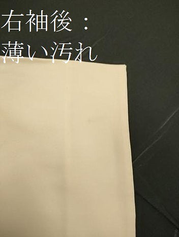 平和屋着物■訪問着　祇園祭　寿光織　金糸　正絹　逸品　CABD6433oy