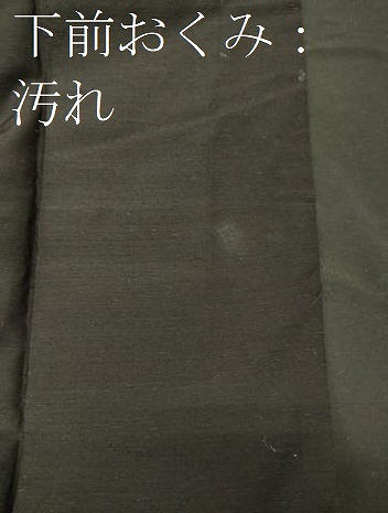 平和屋着物■男性　紬　蝋色　正絹　逸品　CABD6466oy