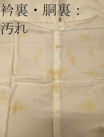 平和屋着物■上質な色無地　道長花唐草地紋　珊瑚色　正絹　逸品　CABD6486oy