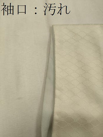 平和屋着物■訪問着　駒刺繍　流線草花文　金彩　正絹　逸品　CABD6518oｙ